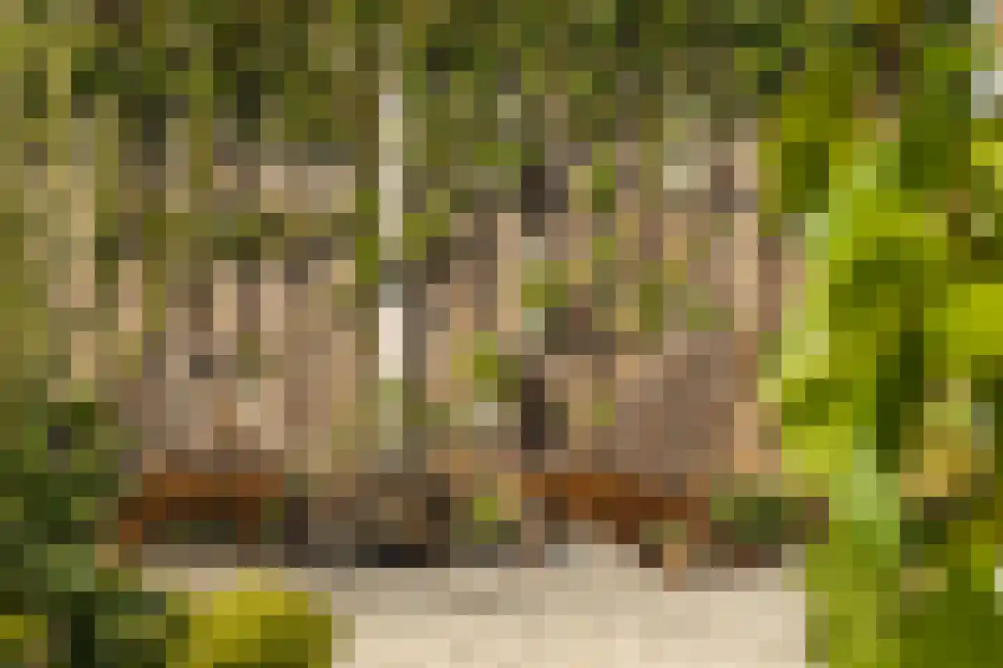 Timberwolfstraat 18 Achtmaal thumbnail 39