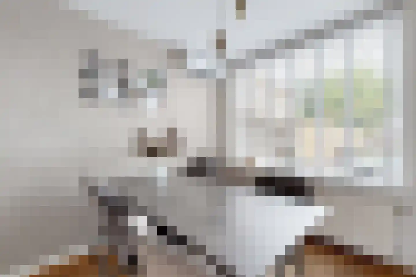 Timberwolfstraat 29 Standdaarbuiten thumbnail 21