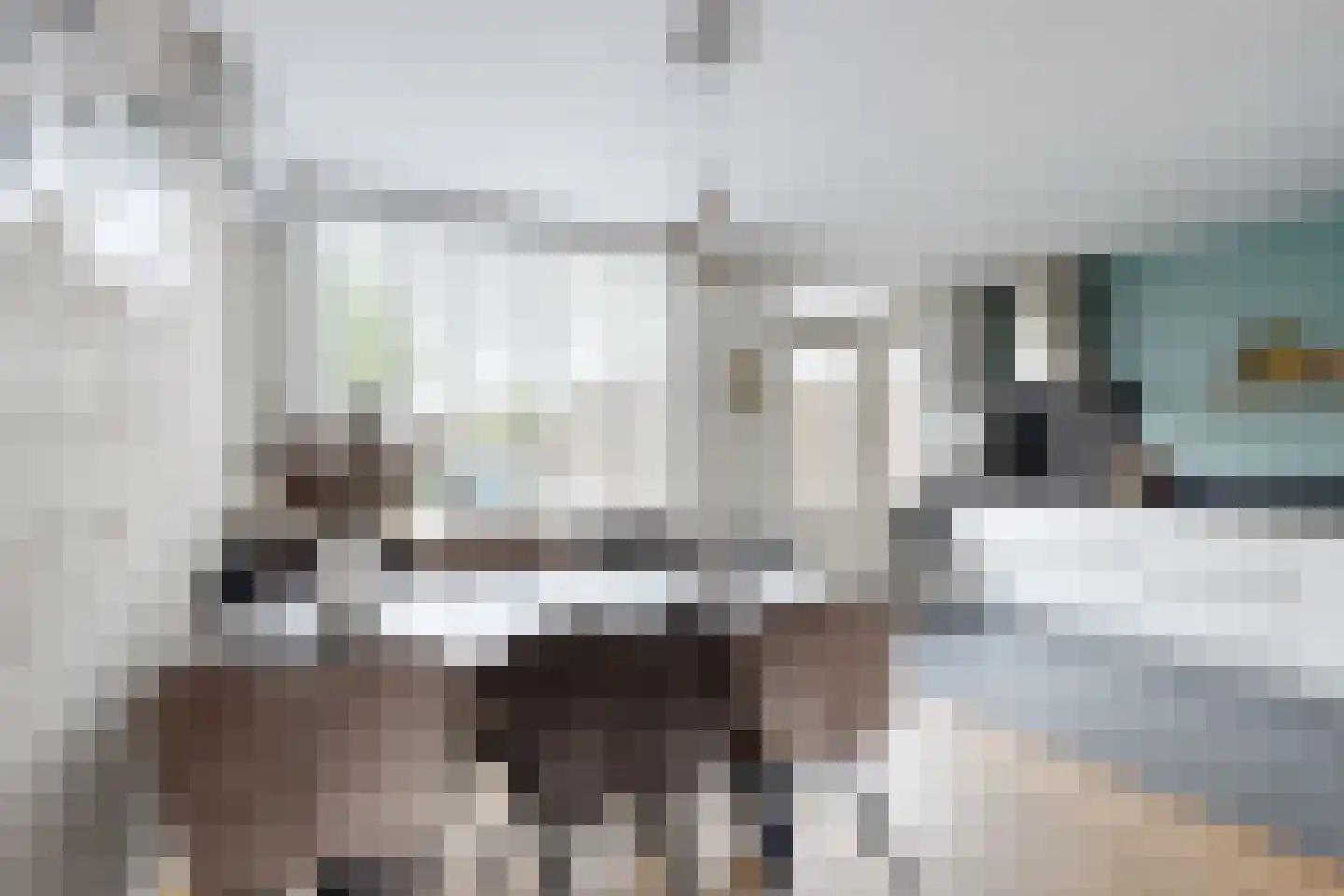 Timberwolfstraat 29 Standdaarbuiten thumbnail 22