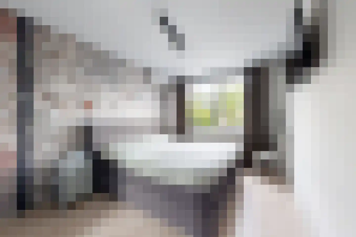 Timberwolfstraat 29 Standdaarbuiten thumbnail 33