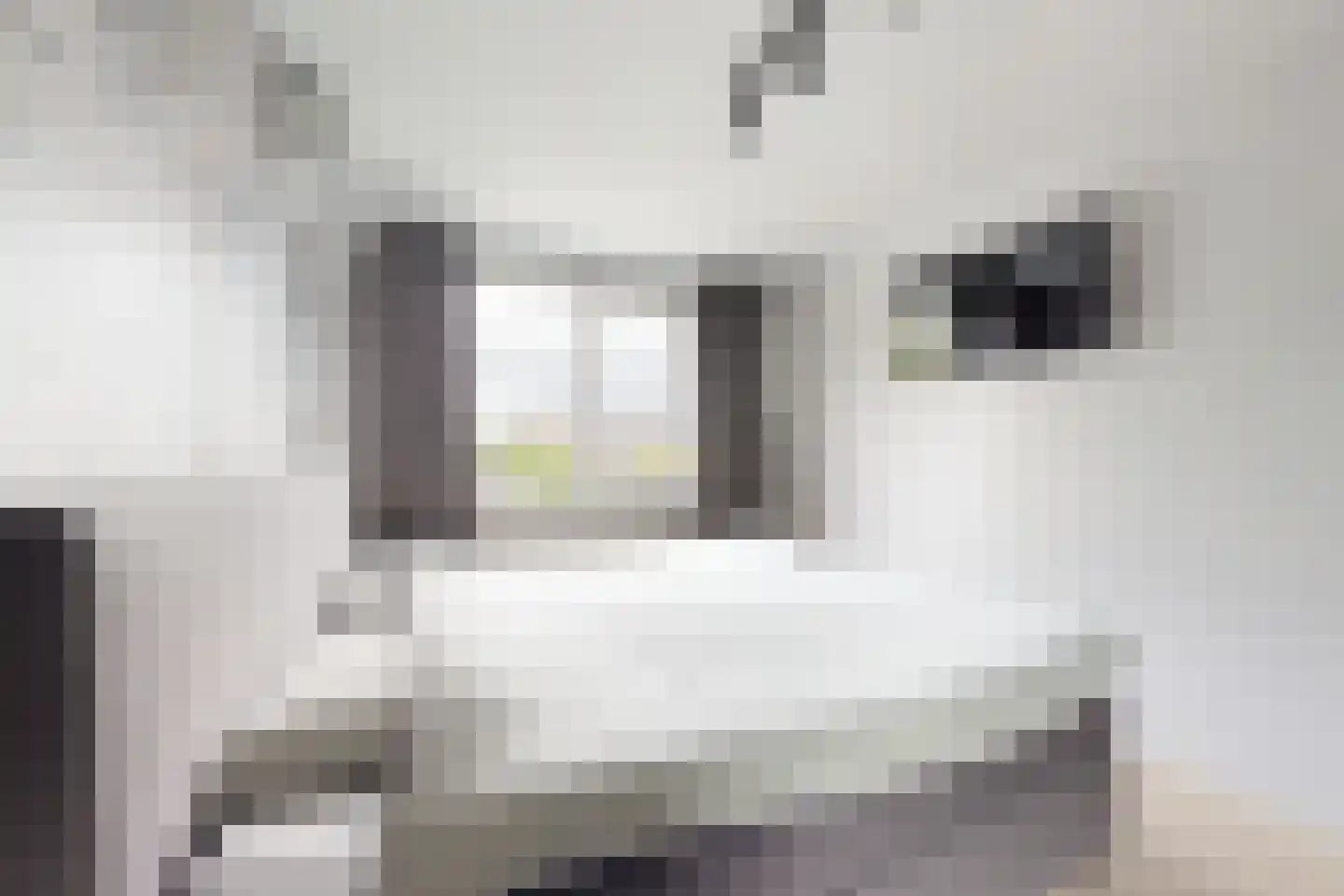 Timberwolfstraat 29 Standdaarbuiten thumbnail 34