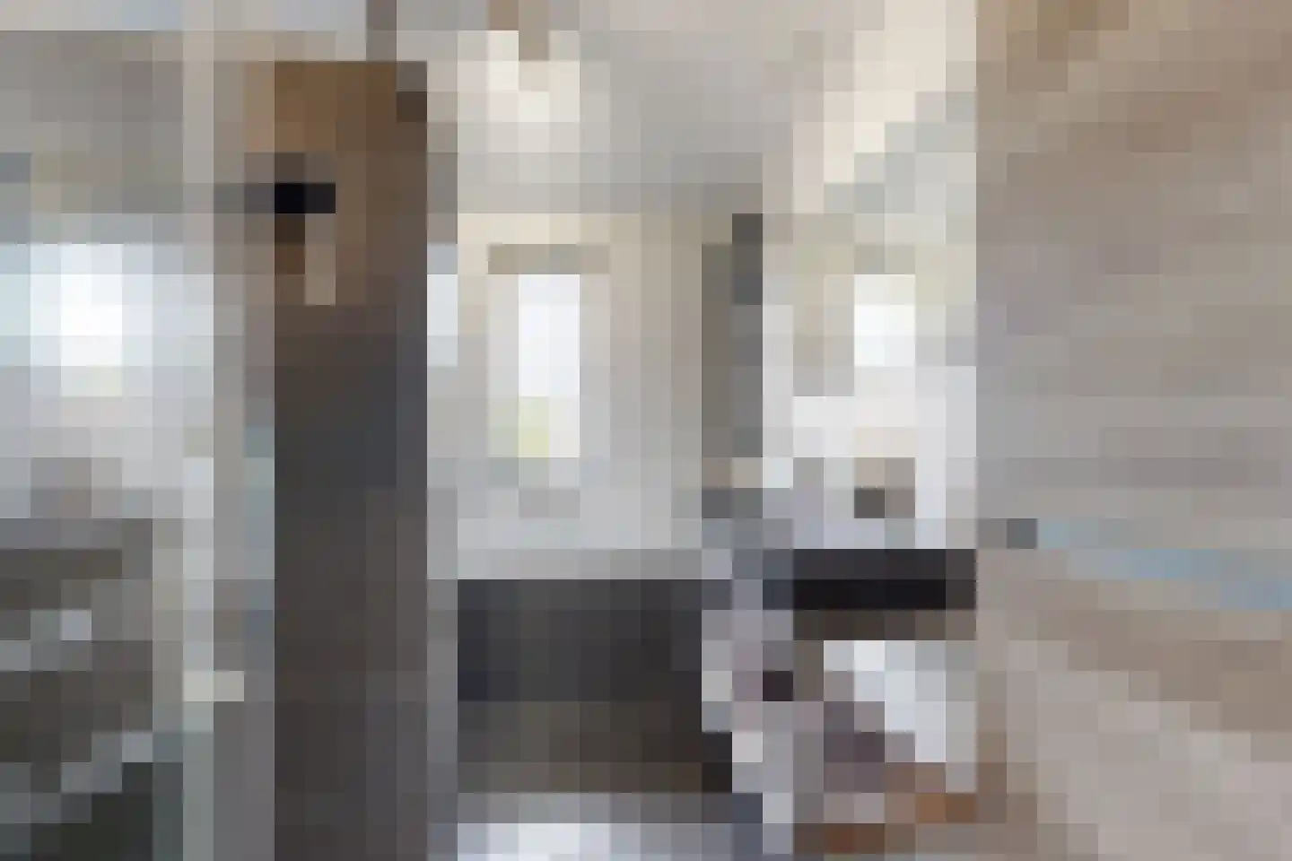 Timberwolfstraat 29 Standdaarbuiten thumbnail 43