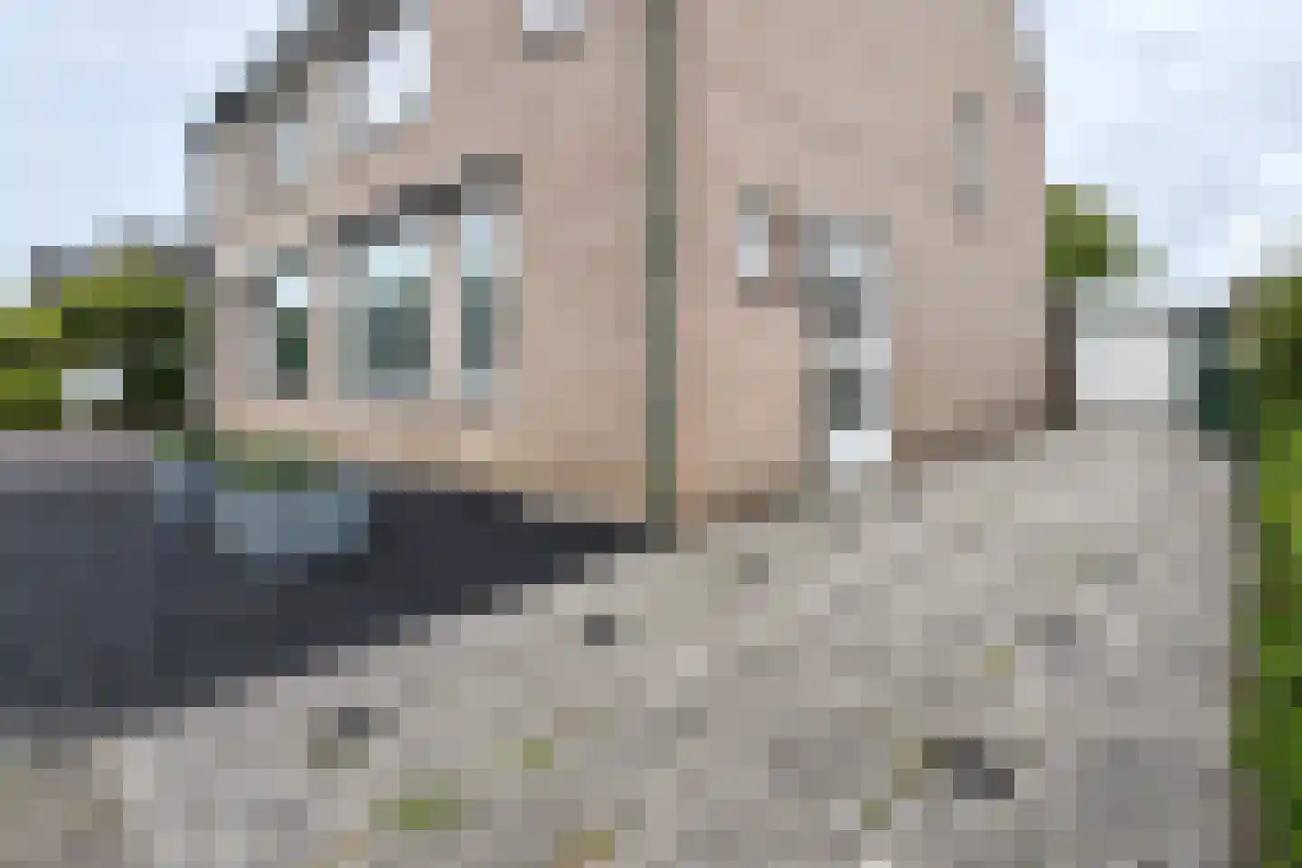 Timberwolfstraat 29 Standdaarbuiten thumbnail 73
