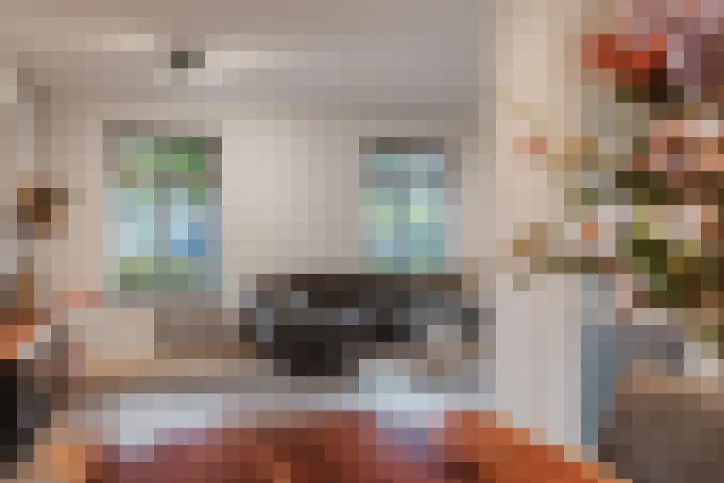 Timberwolfstraat 4 Achtmaal thumbnail 15