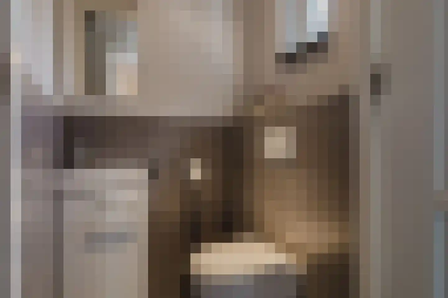 Timberwolfstraat 4 Achtmaal thumbnail 21