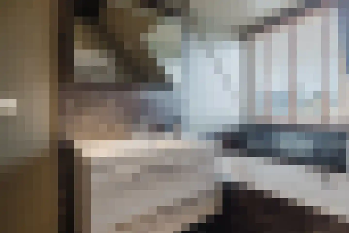 Timberwolfstraat 4 Achtmaal thumbnail 30