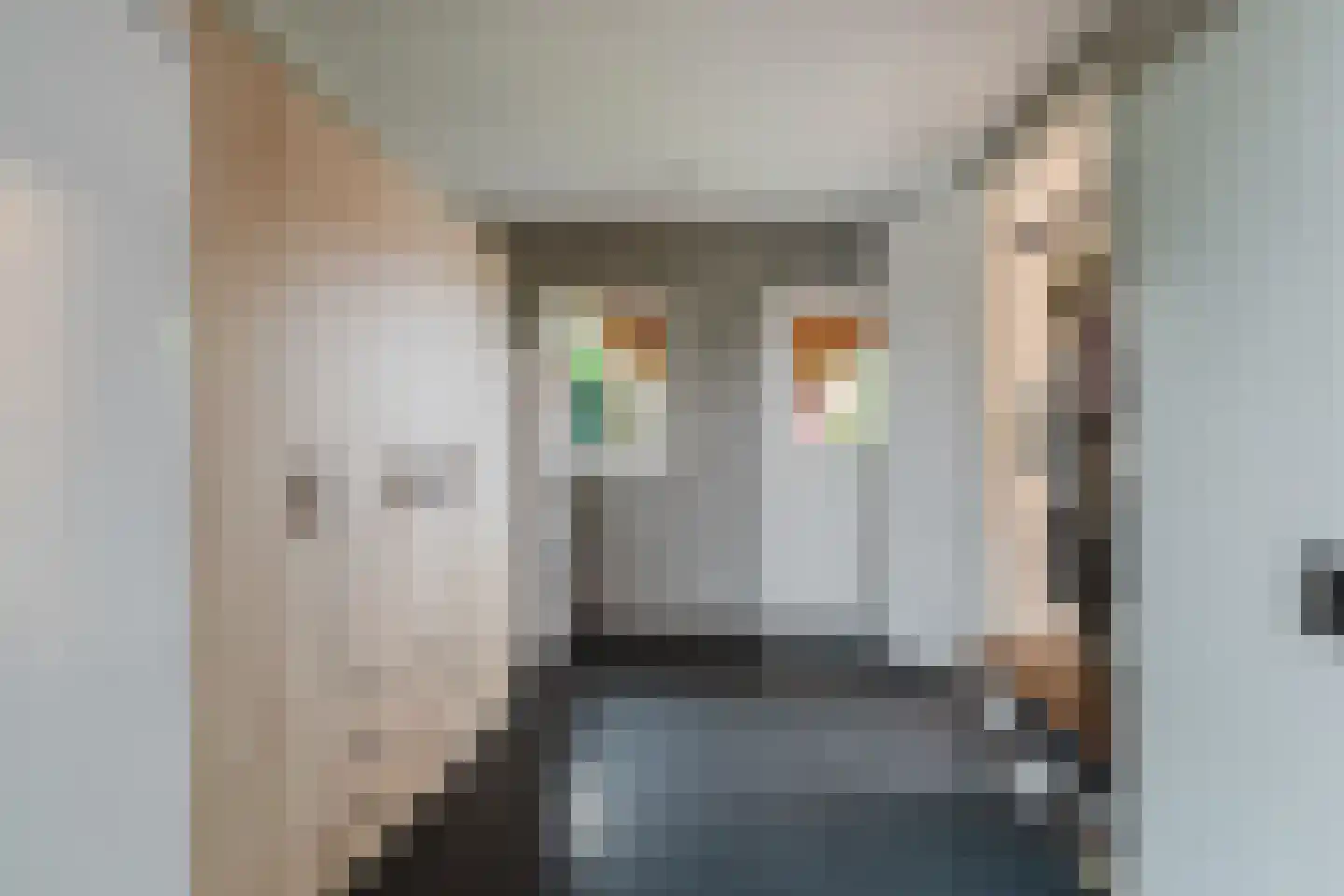 Timberwolfstraat 4 Achtmaal thumbnail 35