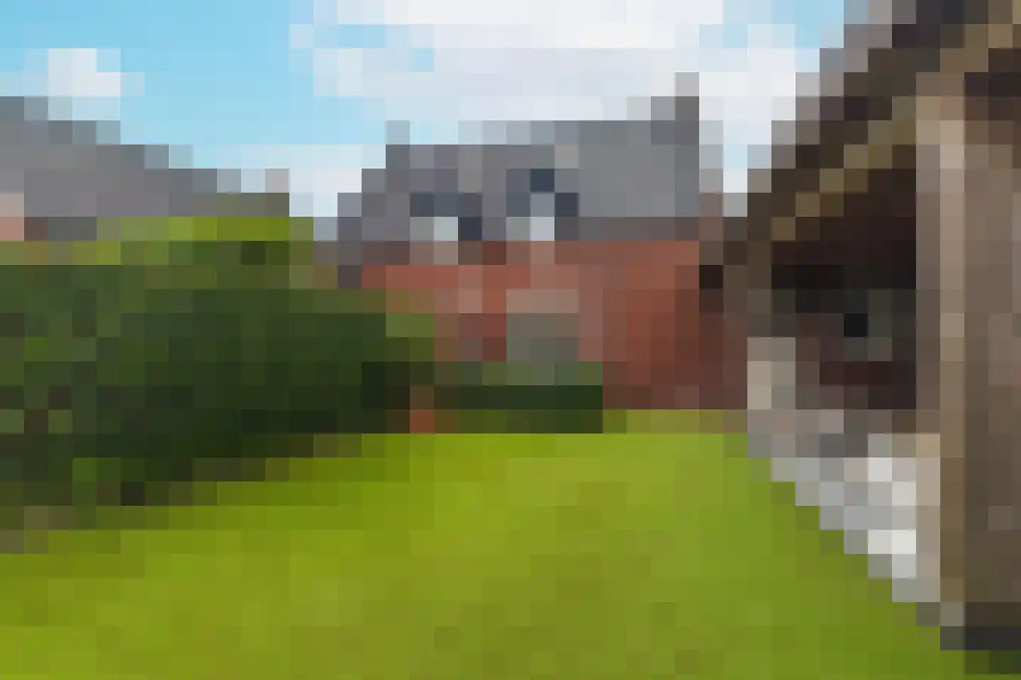 Timberwolfstraat 4 Achtmaal thumbnail 37