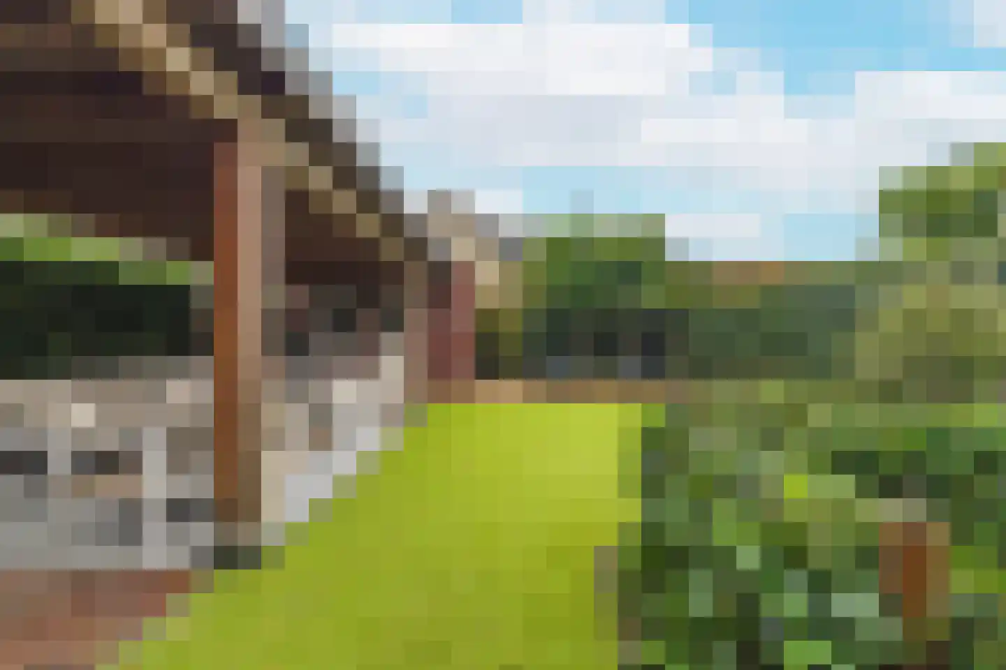 Timberwolfstraat 4 Achtmaal thumbnail 40