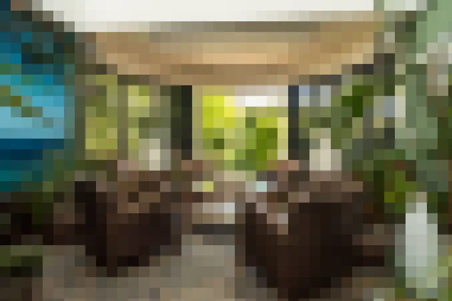 Timiaanlaan 13 Oldenzaal thumbnail 17