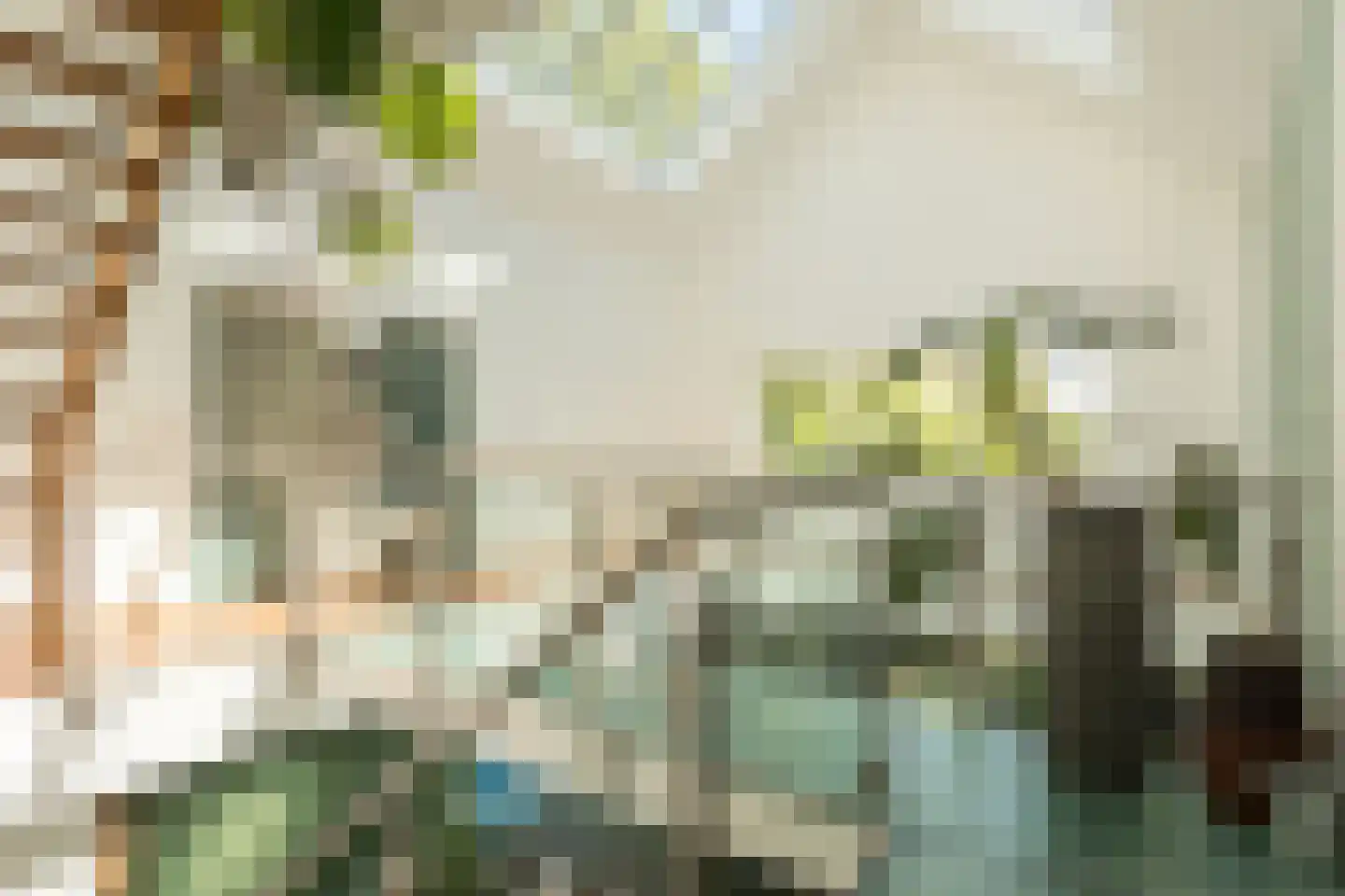 Timiaanlaan 13 Oldenzaal thumbnail 5
