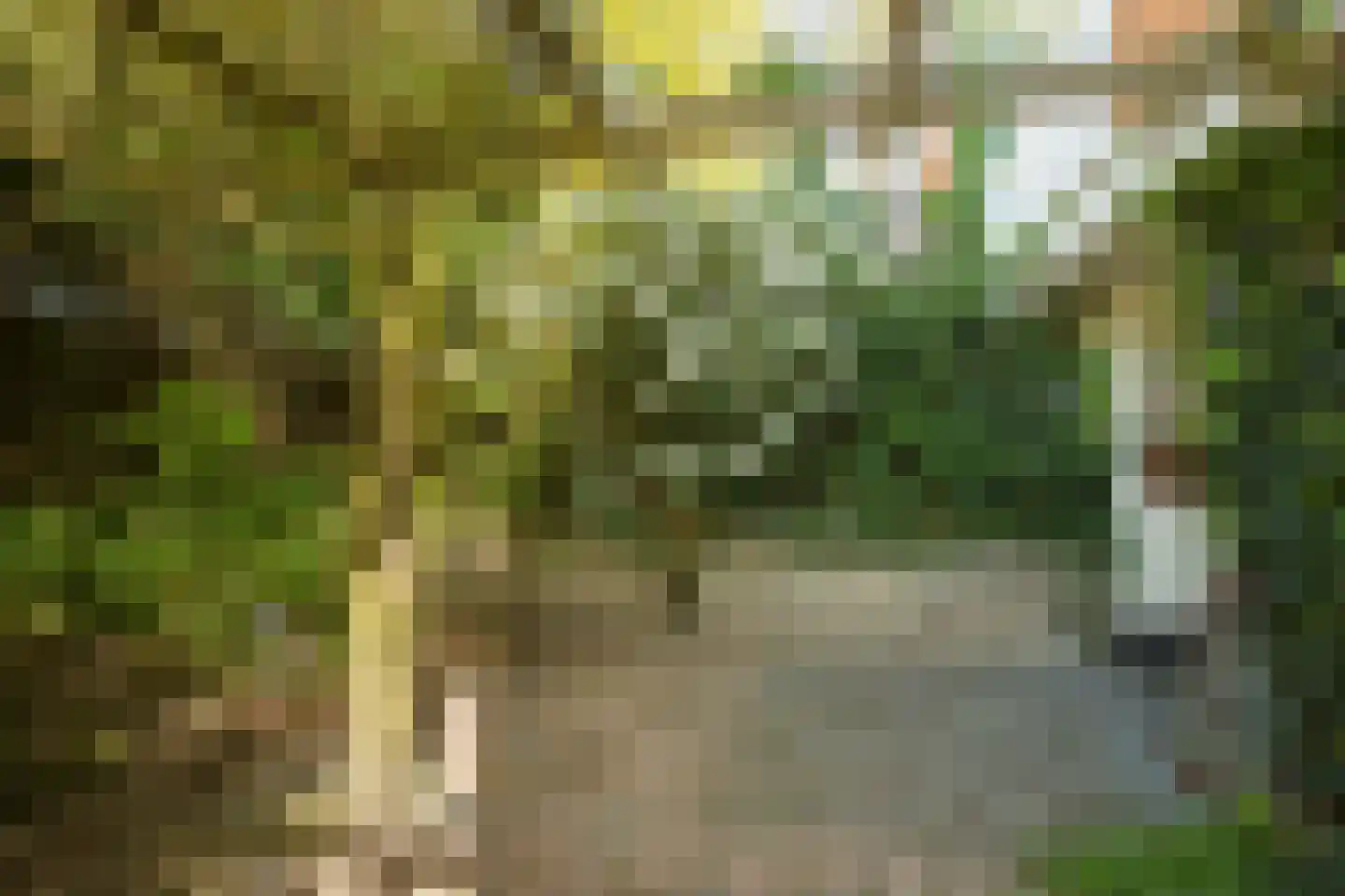 Timiaanlaan 13 Oldenzaal thumbnail 7