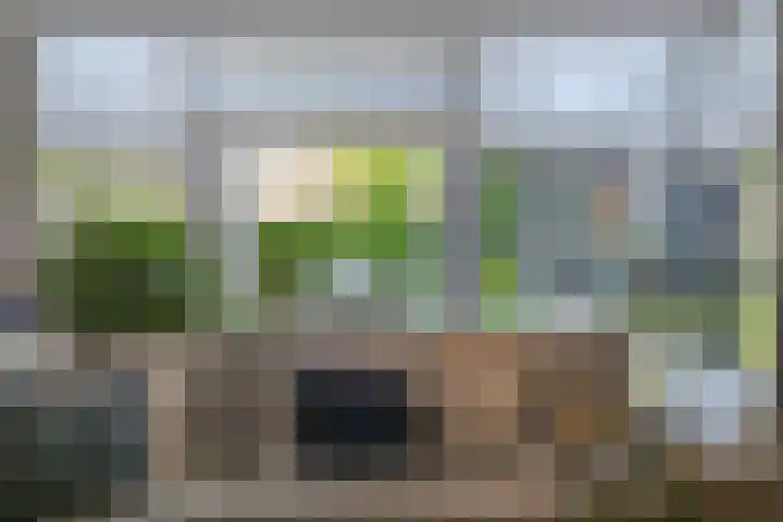 Timmerhout 28 Arnhem thumbnail 10