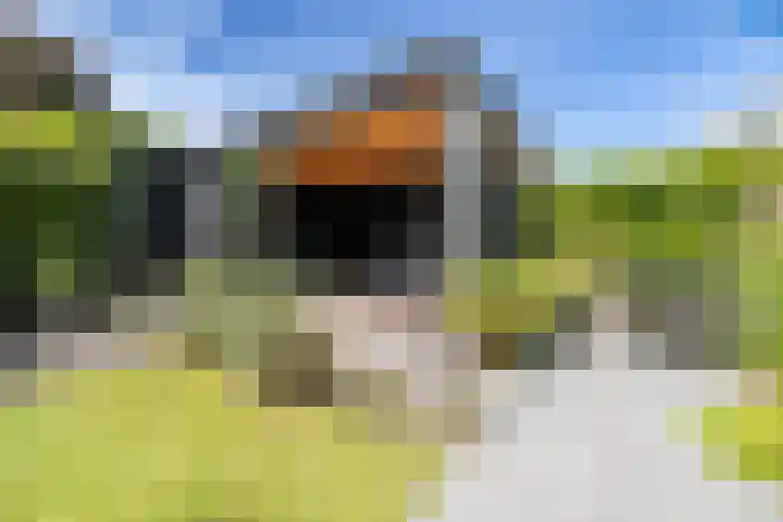 Timmerhout 28 Arnhem thumbnail 18