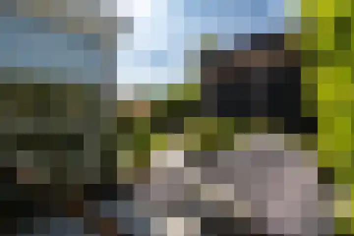 Timmerhout 28 Arnhem thumbnail 20