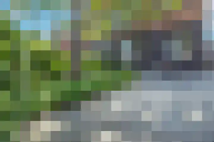 Timmerhout 28 Arnhem thumbnail 45