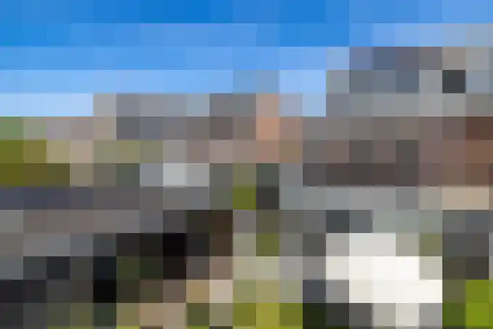 Timmerhout 28 Arnhem thumbnail 48