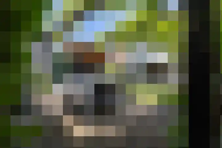 Timmerhout 28 Arnhem thumbnail 5