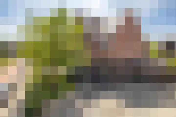Timmerhout 28 Arnhem thumbnail 54