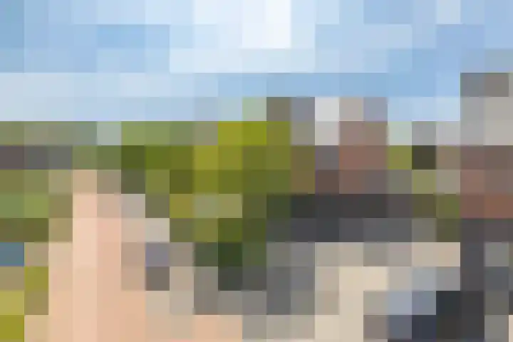 Timmerhout 28 Arnhem thumbnail 6
