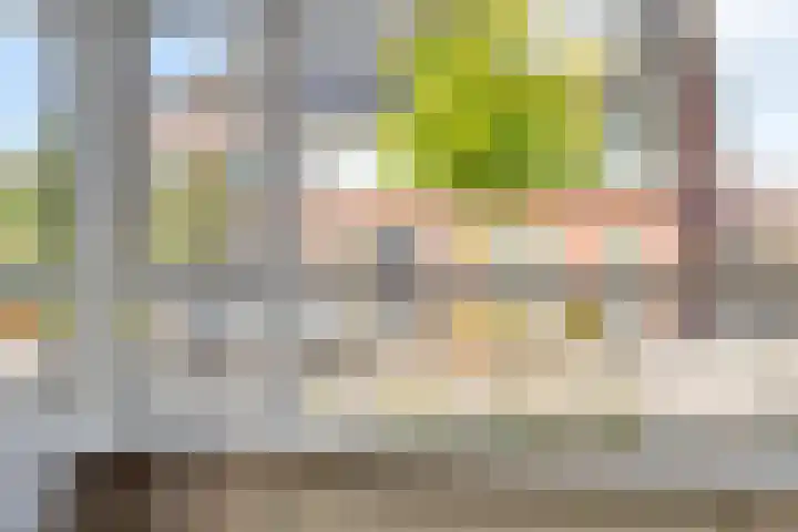 Timmerliedengilde 20 Dronten thumbnail 13