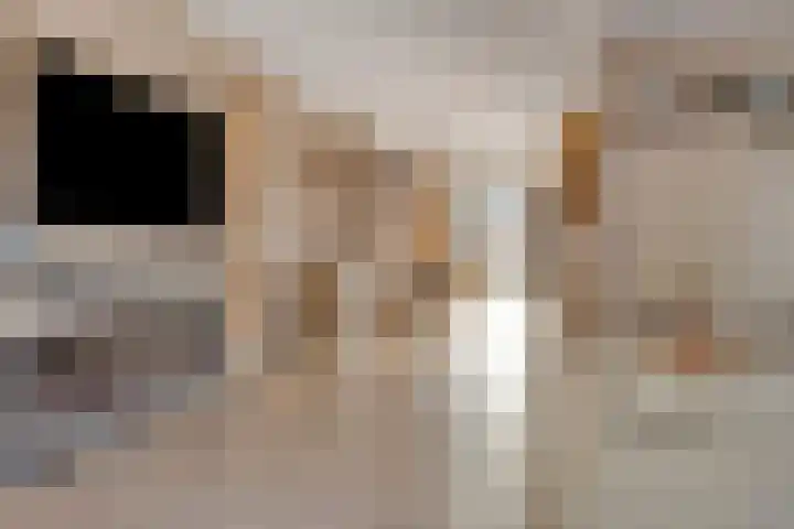 Timmerliedengilde 20 Dronten thumbnail 14