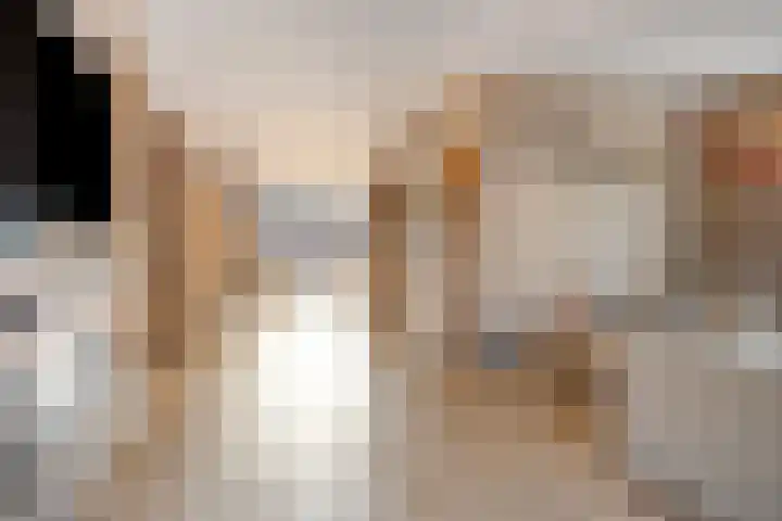 Timmerliedengilde 20 Dronten thumbnail 15