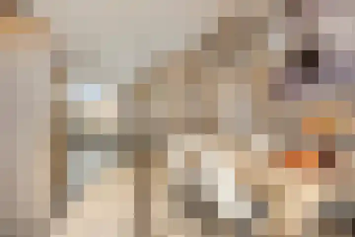 Timmerliedengilde 20 Dronten thumbnail 16