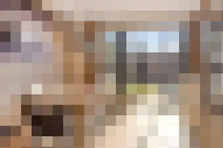 Timmerliedengilde 20 Dronten thumbnail 18