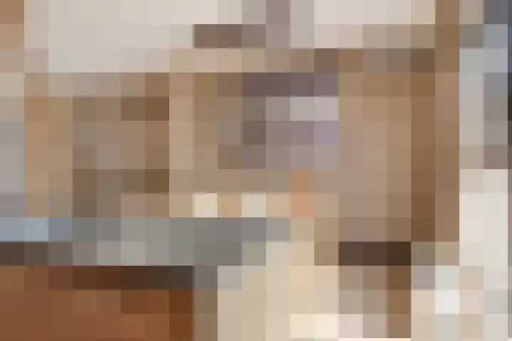 Timmerliedengilde 20 Dronten thumbnail 20