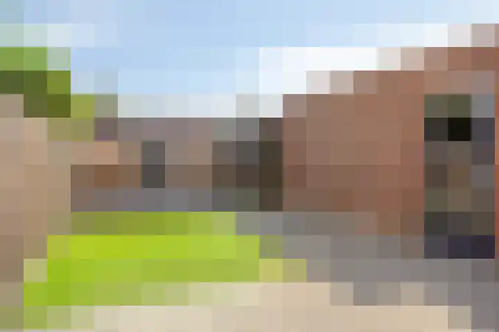 Timmerliedengilde 20 Dronten thumbnail 41