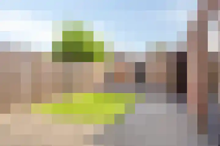 Timmerliedengilde 20 Dronten thumbnail 42