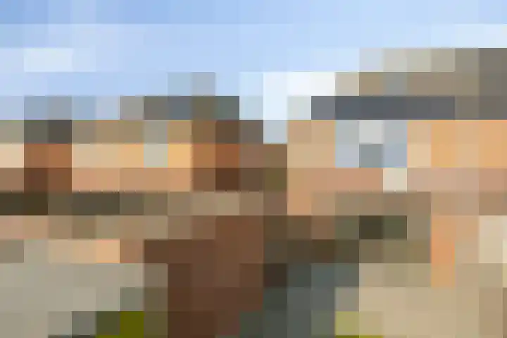 Timmerliedengilde 20 Dronten thumbnail 45