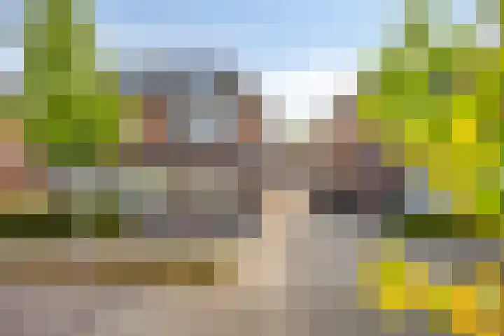 Timmerliedengilde 20 Dronten thumbnail 46
