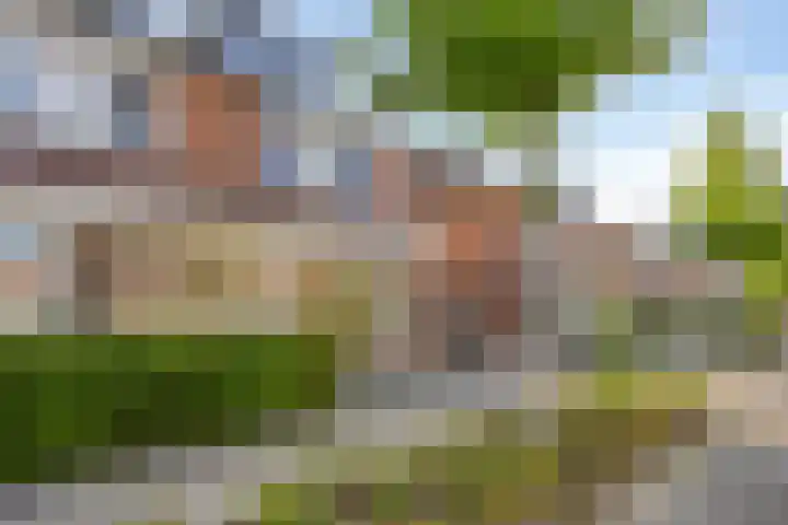 Timmerliedengilde 20 Dronten thumbnail 47