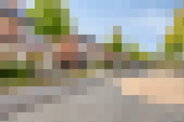 Timmerliedengilde 20 Dronten thumbnail 49