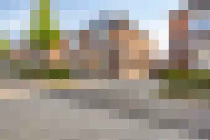 Timmerliedengilde 20 Dronten thumbnail 5