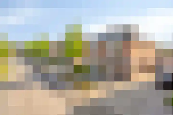 Timmerliedengilde 20 Dronten thumbnail 50