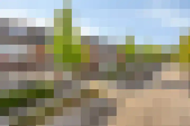 Timmerliedengilde 20 Dronten thumbnail 51