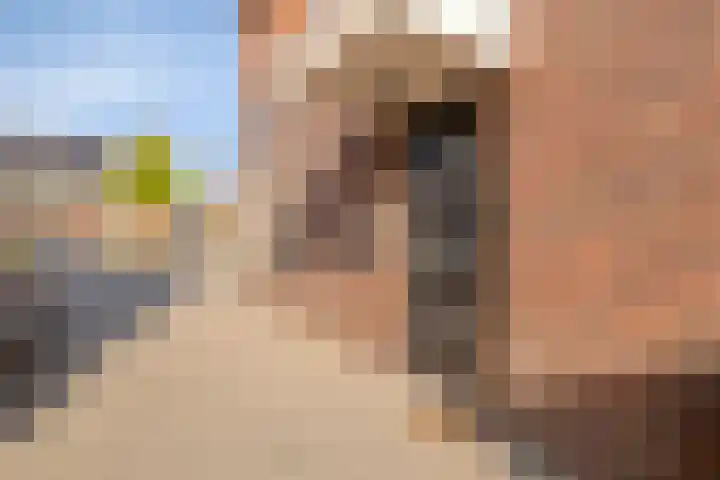 Timmerliedengilde 20 Dronten thumbnail 6