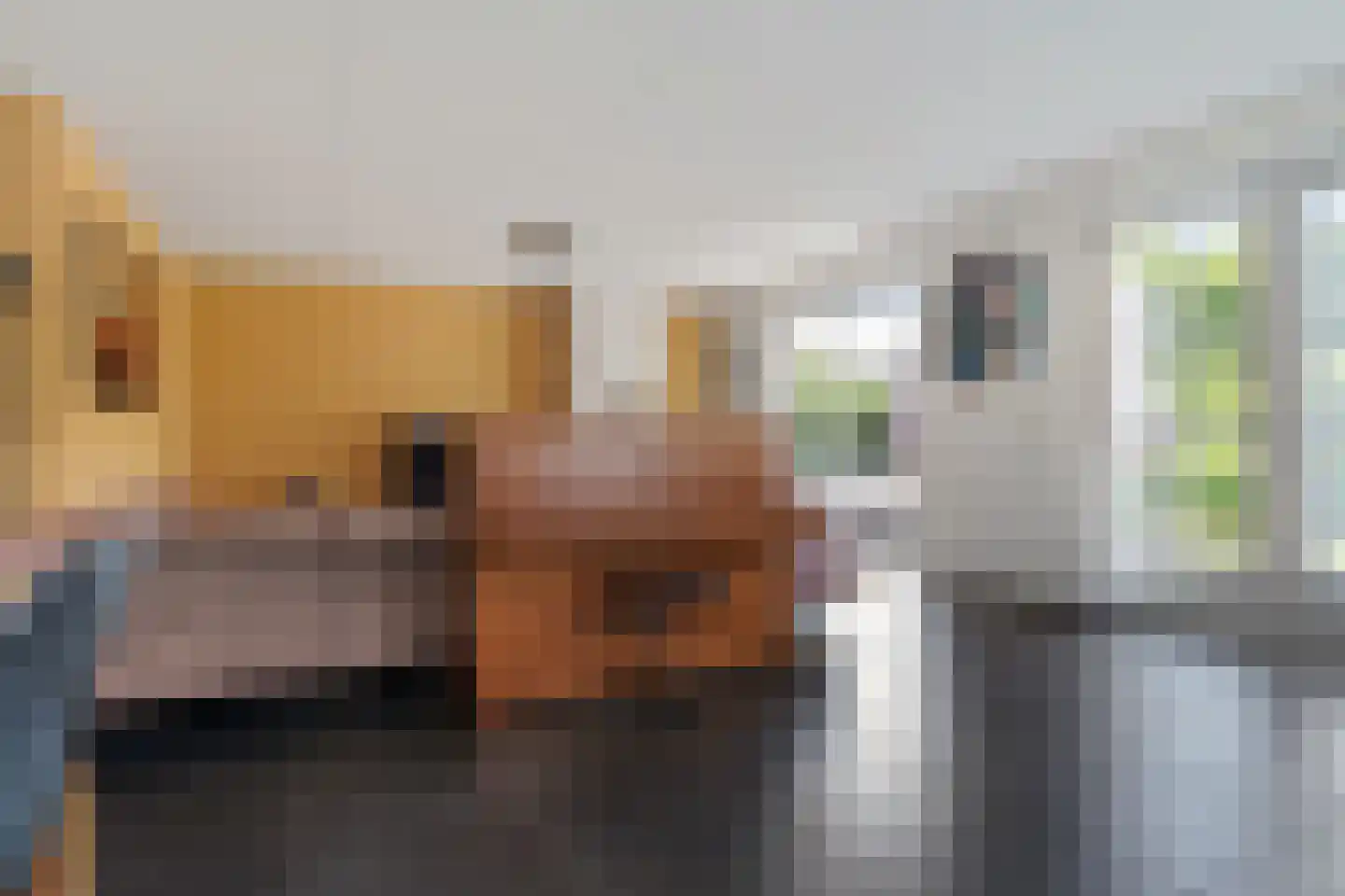 Timmerliedengilde 33 Dronten thumbnail 11