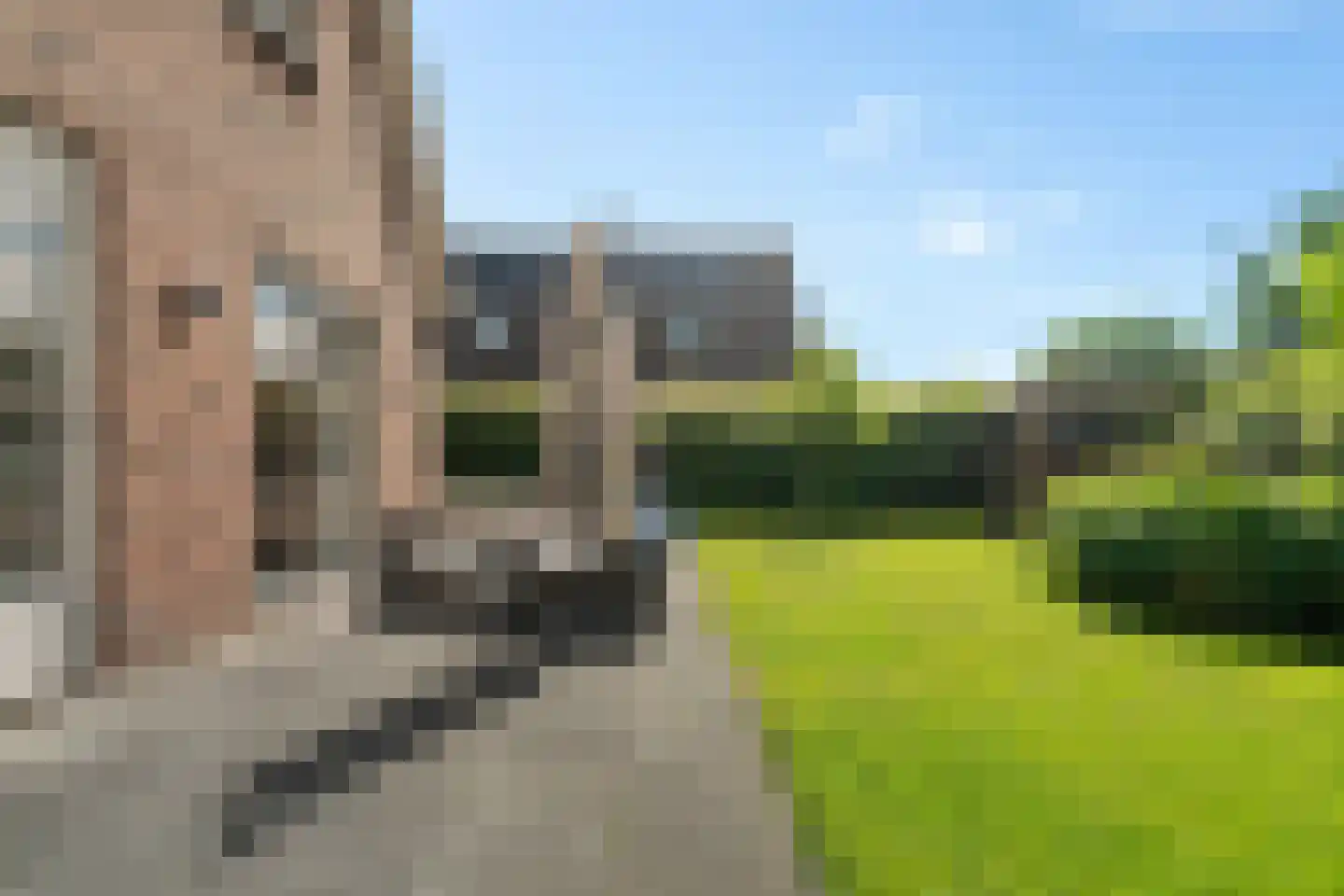 Timmerliedengilde 33 Dronten thumbnail 42