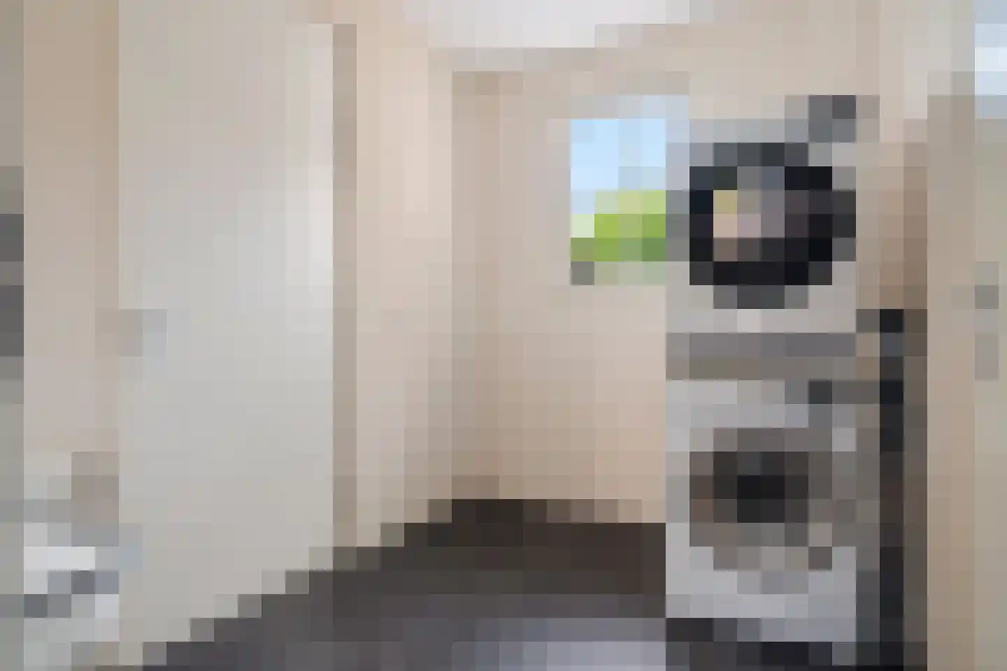 Timmerliedengilde 33 Dronten thumbnail 8