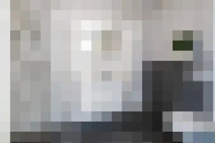 Timmerliedengilde 8 Dronten thumbnail 19