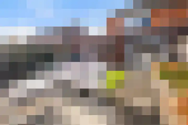 Timmerliedengilde 8 Dronten thumbnail 26