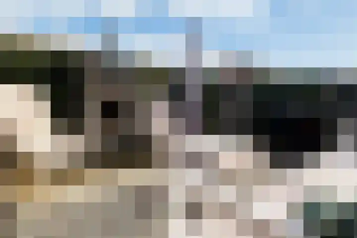 Timmerliedengilde 8 Dronten thumbnail 27