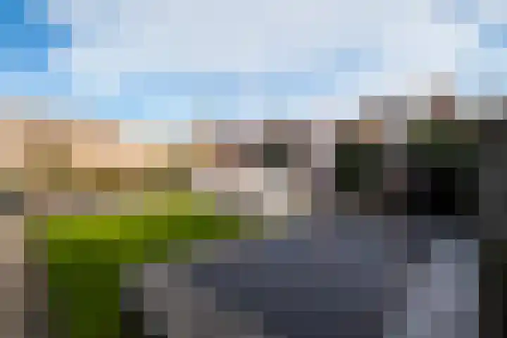 Timmerliedengilde 8 Dronten thumbnail 30