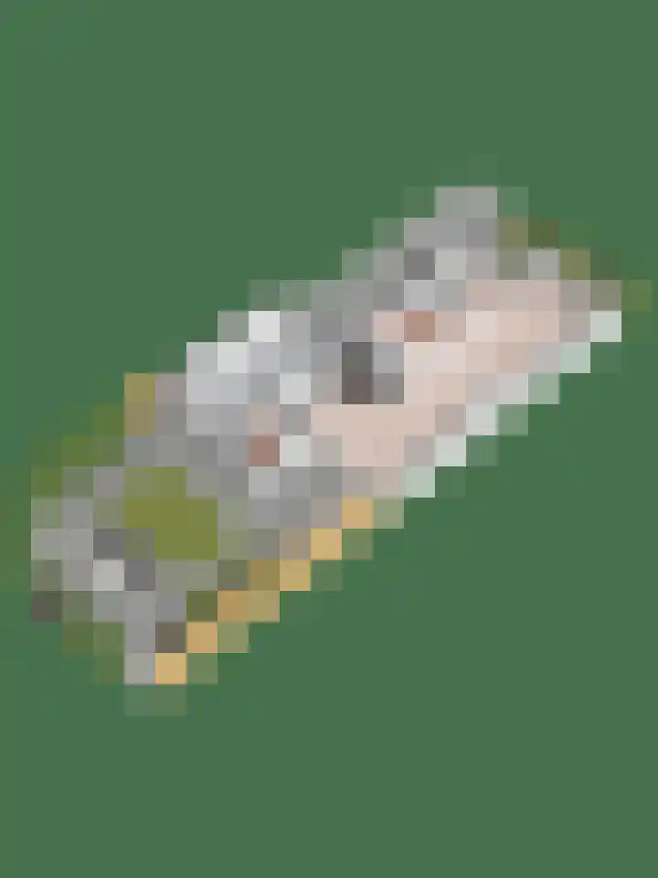 Timmerliedengilde 8 Dronten thumbnail 38