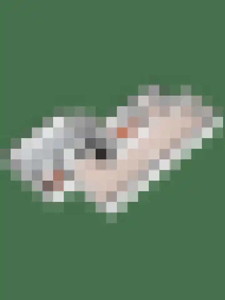 Timmerliedengilde 8 Dronten thumbnail 39