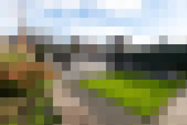 Timmerliedengilde 8 Dronten thumbnail 5